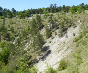 Vue des éboulis du cirque de la Coquille (Côte-d'Or)