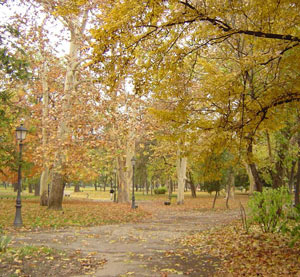 Vue du parc Gradski à Zemun (Serbie) en automne