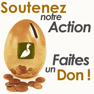 Faites un don à Ornithomedia.com