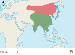 Aire de répartition de la Tourterelle orientale
