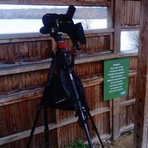 Essai du sac à dos Kite Viato sur les bords de la Marne