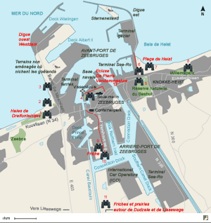 Carte de Zeebruges et bons secteurs ornithologiques